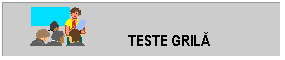 Text Box:                    TESTE GRILA

