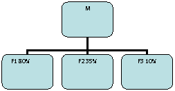 Organization Chart