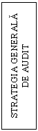 Text Box: STRATEGIA GENERALA DE AUDIT