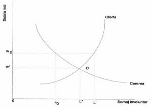 Piata Fortei De Munca Si Somajul Microeconomie Si Macroeconomie
