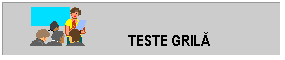 Text Box:                    TESTE GRILA

