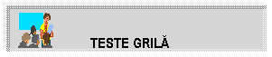 Text Box: TESTE GRILA

