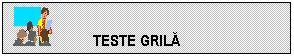 Text Box:  	          TESTE GRILA

