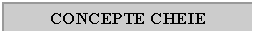 Text Box: CONCEPTE CHEIE