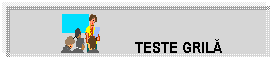 Text Box:  	        TESTE GRILA

