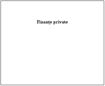 Text Box: Finante private
