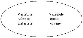 Oval:    Variabile                 Variabile
    tehnico-                   socio-     
   materiale                  umane 
