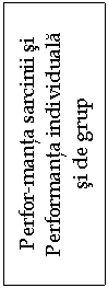 Text Box: Perfor-manta sarcinii si
Performanta individuala
si de grup
