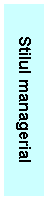 Text Box: Stilul managerial