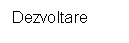 Text Box: Dezvoltare