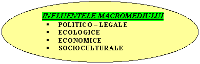 Oval: INFLUENTELE MACROMEDIULUI
 POLITICO - LEGALE
 ECOLOGICE
 ECONOMICE
 SOCIOCULTURALE
