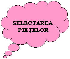 Cloud Callout:     
  SELECTAREA   
   PIETELOR
