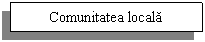 Text Box: Comunitatea locala