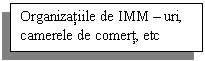 Text Box: Organizatiile de IMM - uri, camerele de comert, etc