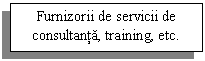 Text Box: Furnizorii de servicii de consultanta, training, etc.