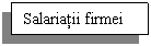 Text Box: Salariatii firmei