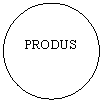 Oval: PRODUS
