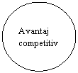 Oval: Avantaj competitiv
