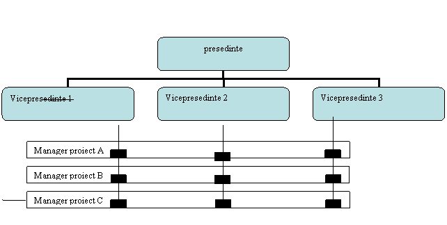 Organization Chart