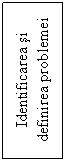 Text Box: Identificarea si definirea problemei