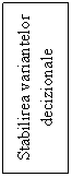 Text Box: Stabilirea variantelor decizionale