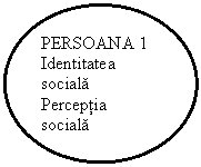 Oval: PERSOANA 1
Identitatea sociala
Perceptia sociala
Coduri

