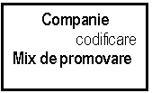 Text Box: Companie
                 codificare
Mix de promovare

