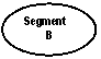 Oval: Segment
B

