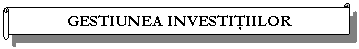 Horizontal Scroll: GESTIUNEA INVESTITIILOR