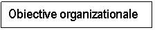Text Box: Obiective organizationale