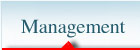 Management strategic - managementul carierei